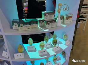 借力國際展會，麗水產(chǎn)品與平臺服務(wù)雙雙走出國門 理念先行如何精準(zhǔn)匹配外商胃口？
